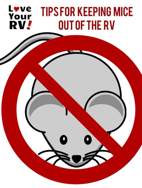 Tips to Keep Pesky Mice Out of Your RV